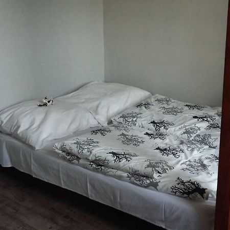 Studio Na Powislu Krakow Dış mekan fotoğraf